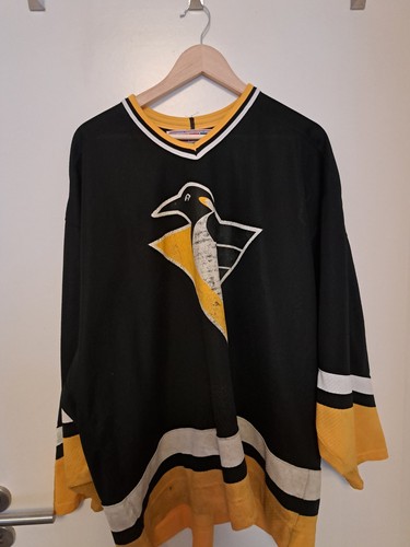 Jaromir jagr pittsburgh - jagr,