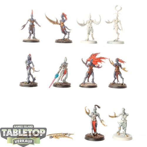 Hedonites slaanesh 10 - slaanesh, x