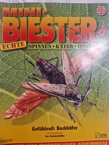 Mini biester autokratkäfer - biester, "