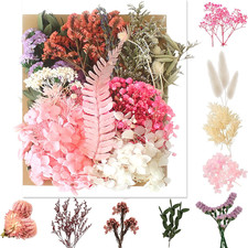 Getrocknete Blumen Set für
