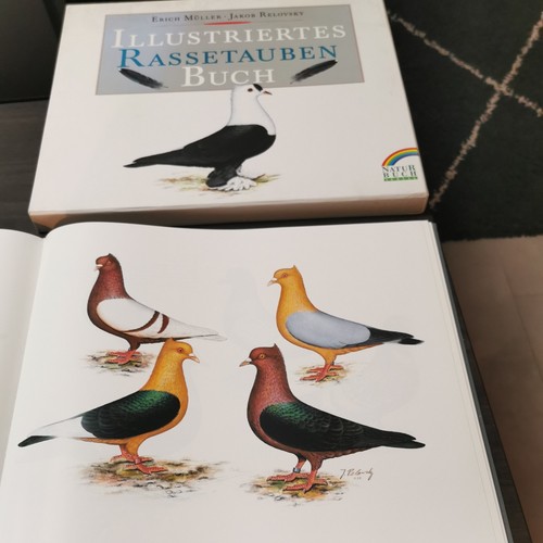 Illustriertes rassetauben buch - rassetauben,