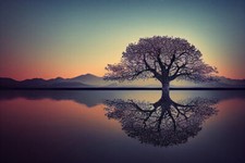 Wandbild: Baum des Lebens, der