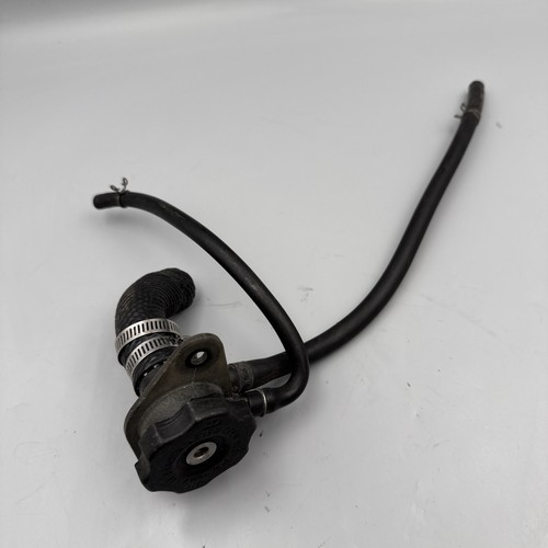 Yamaha 350 ypvs rohr - 350,