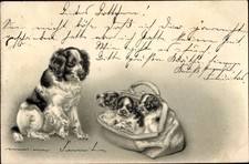 Litho Drei junge Hunde in der Handtasche - 4186018