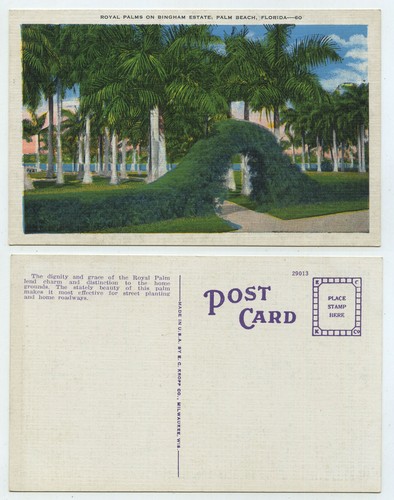 62895 palm beach royal - -,