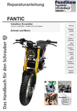 Reparaturanleitung RIS Fantic