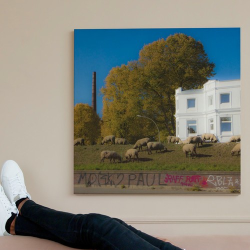 Foto auf hartschaum - foto,