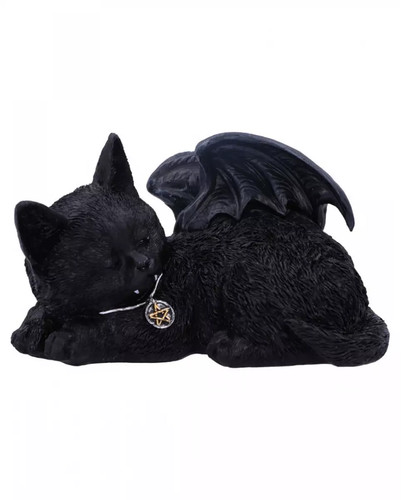 Schlafende schwarze katze - schwarze, mit
