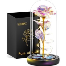 Ewige Rose Glaslicht Geschenk