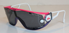 vintage ALPINA Swing Sonnenbrille/ Sportbrille, sehr gut erhalten