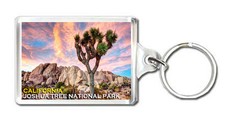 Joshua Tree National Park