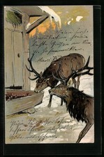 Ansichtskarte Hirsche an Raufe im Winter 1904 
