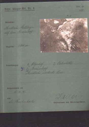 Braunkopf vogesen - ,