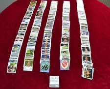 Panini Bundesliga 2006/2007 -