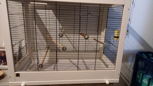 Vogelkäfig für