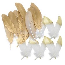 24x natürliche Gans Feder