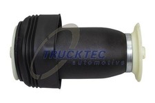 Luftfederbein Luftfederung Hinten für BMW X5 E70 F15 F85 X6 E71 E72 F16 06-19