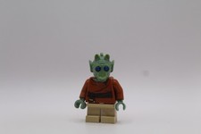 LEGO Star Wars Wald Minifigure