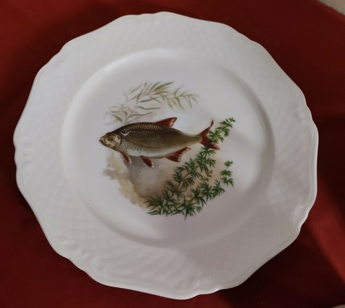 Teller eschenbach fischmotiv - eschenbach,