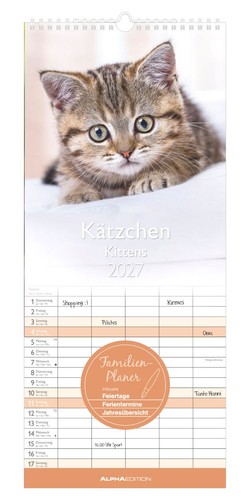 Kätzchen 2027