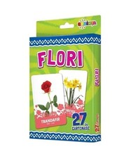 Flori. 27 De Kartonase