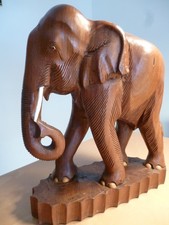 Elefanten- Afrikanisches