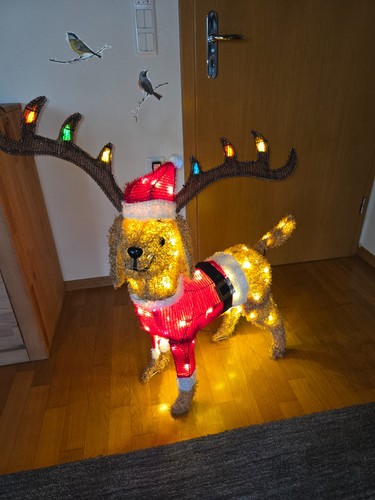 Weihnachtsdeko outdoor hund - outdoor,