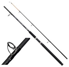 Mitchell Spinnrute Boot Rute