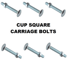 M10 (10 mm) COACH CUP VIERKANT