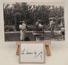 Familienszene garten - im,