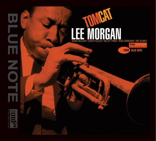 Audio wave lee - audio,