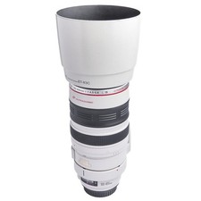 Canon EF 100-400mm/4,5-5,6 L