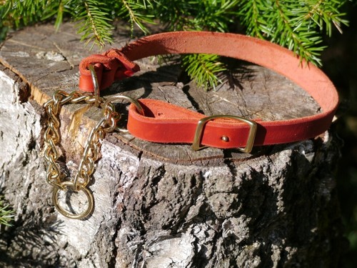 Rotes fettlederhalsband - rotes, m