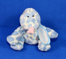 Eidechse Gossip My Blue Nose