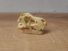 Figur von Schleich Knochen