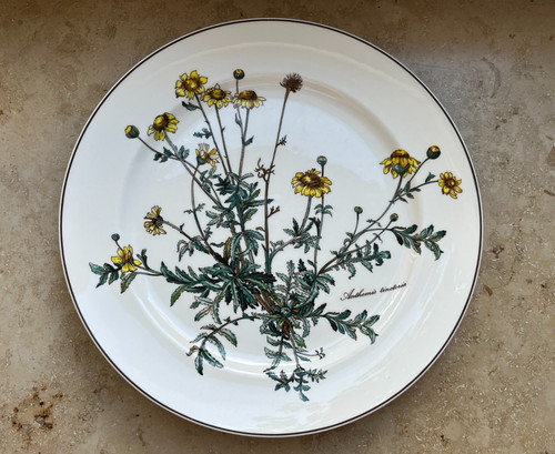 Villeroy boch botanica - villeroy, &