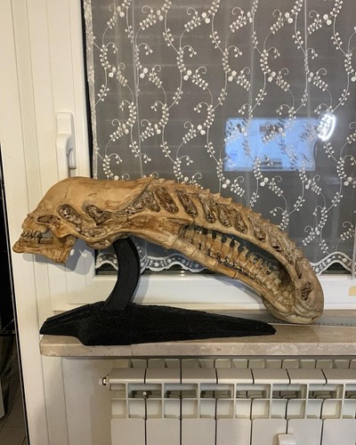 Alien xenomorph skull - skull, 1:4