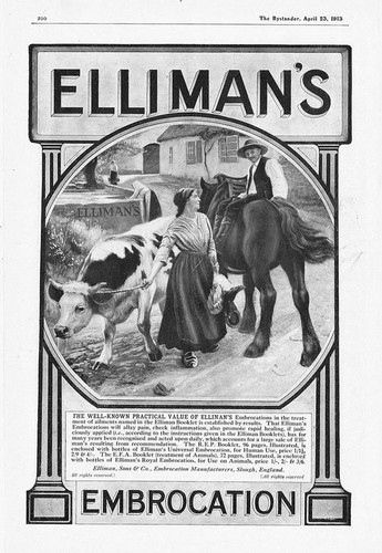 Ellimans embrocation pferd und - ellimans,