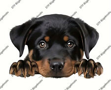 Bügelbild ca. 15x22 cm