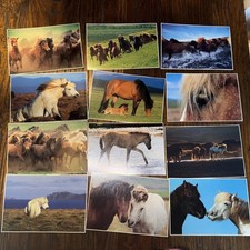 22 Pferdepostkarten Isländer