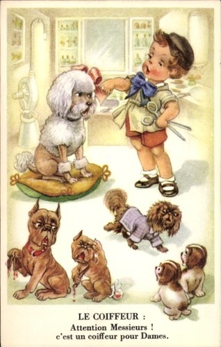 Hundefriseur friseur mit - ak,