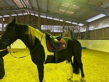 Tekna Letek Sattel Smooth S-Line schwarz 17,5 aus 2021 NP 1159,-.€