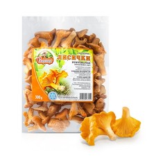Pilze pfifferlinge - pilze,