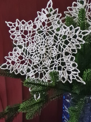Weihnachtsstern stk - 1,
