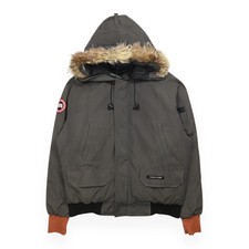 Canada goose chilliwack - canada,