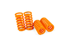 Kupplungsfedern Stage6 R/T