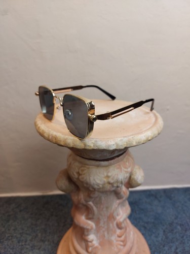 🕶️Steampunk