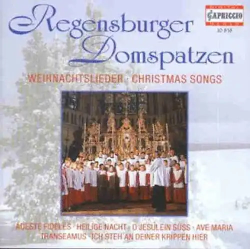 Regensburger domspatzen - regensburger,