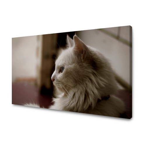 Canvas leinwandbilder bilder - canvas,
