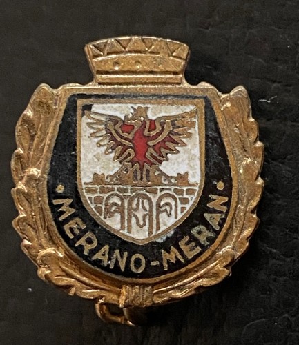 Alter pin abzeichen - pin,